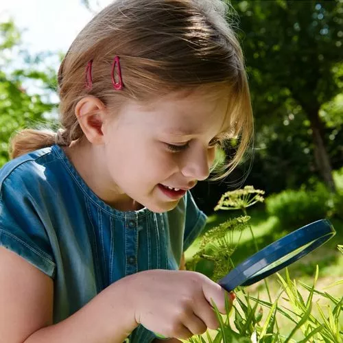 Haba Terra Kids - Vergrootglas 3 Haba Terra Kids - Vergrootglas - Afbeelding 3