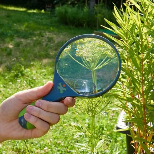 Haba Terra Kids - Vergrootglas 2 Haba Terra Kids - Vergrootglas - Afbeelding 2